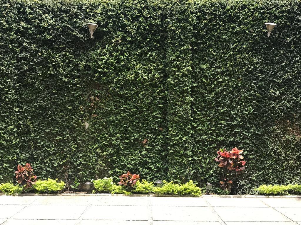 Real Avenida Hotel Tuxtla Gutiérrez Eksteriør bilde